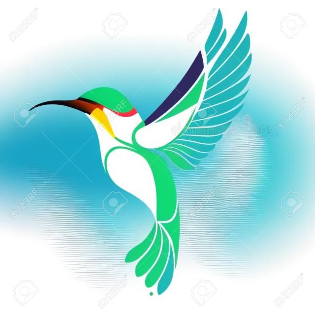 Colibri Bird logo. Vector illustration of exotic flying Hummingbird isolated on white background