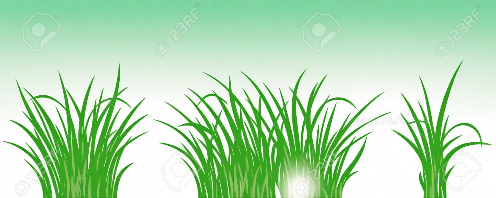 Erba verde set su bianco, illustrazione vettoriale