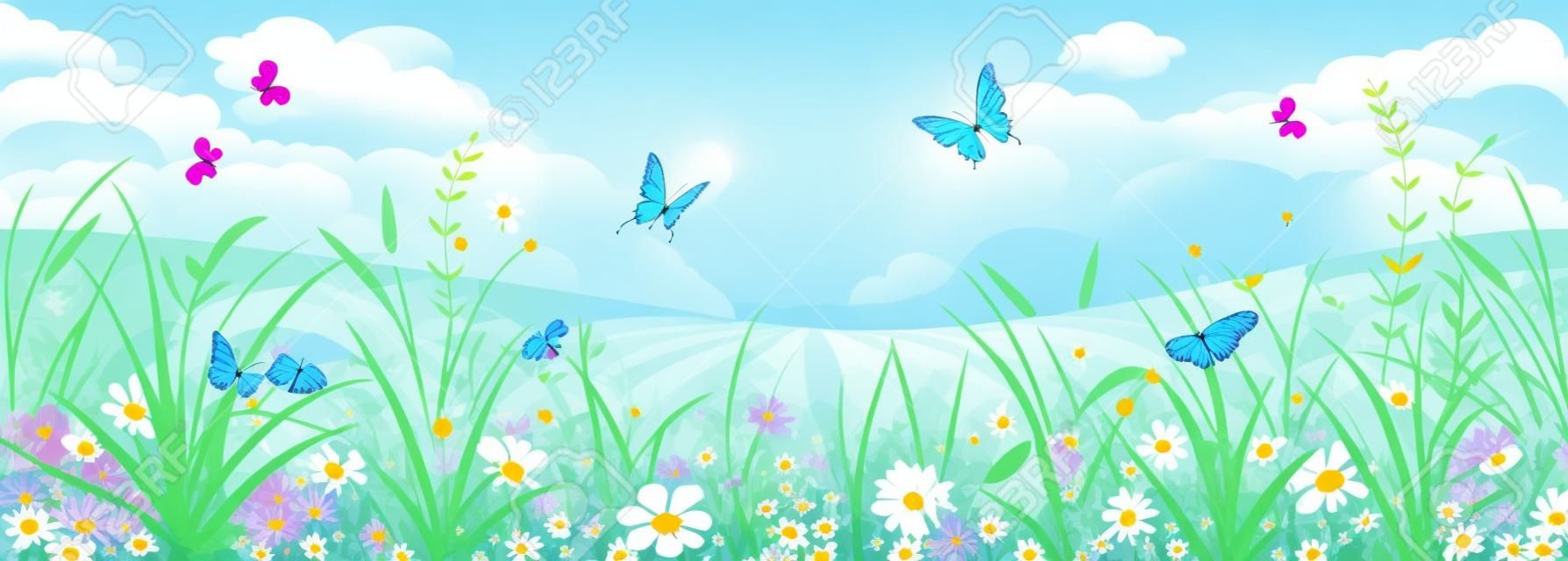 Floral estate o primavera paesaggio, prato con fiori, cielo blu e farfalle