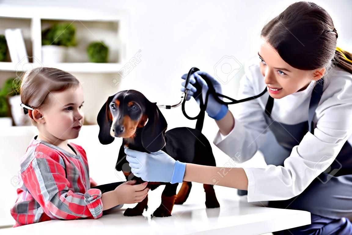 Niña con su mascota en el médico veterinario