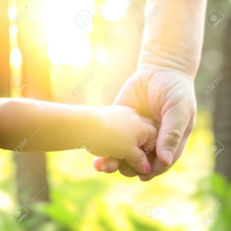 Adult holding a child's hand, close-up hands, nature in background.