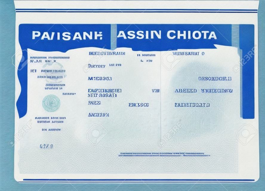 在護照頁的空白的美國簽證。空簽證進入美國