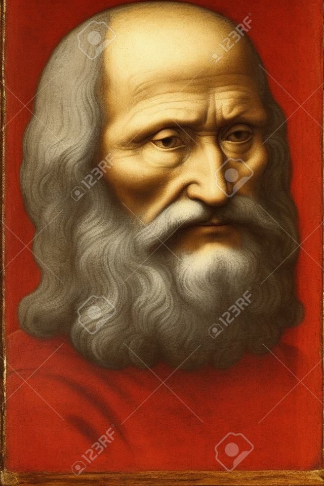 the portrait of an elderly man, red chalk on paper (1510-15) This is feasible self-portrait of Leonardo Da Vinci at age of 60