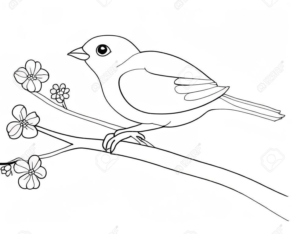 Little bird - sparrow sitting on a flowering branch - linear vector spring picture for coloring. Cute bird on a branch with young leaves and little flowers. Outline Hand drawing
