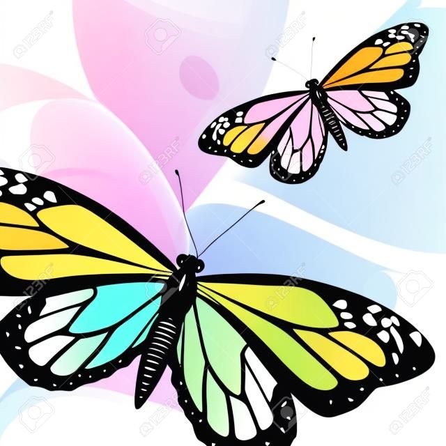 Insectos mariposa y diseño de iconos naturales, ilustración vectorial
