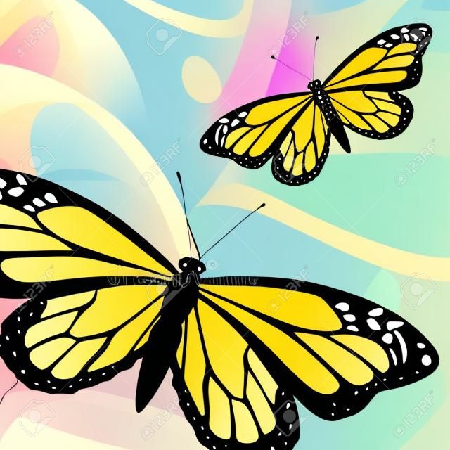 Insectos mariposa y diseño de iconos naturales, ilustración vectorial