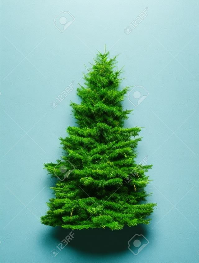 Große grüne Tanne isoliert auf weißem Hintergrund. Hoher natürlicher Weihnachtsbaum ausgeschnitten