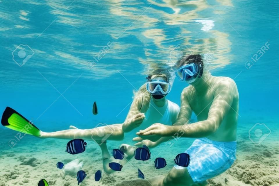 幸せな家族の休暇。シュノーケリングマスクの若いカップルが手をつないで、サンゴ礁の海のプールで魚と一緒に水中に飛び込みます。旅行のライフスタイル、ウォータースポーツの冒険、夏のビーチホリデーの水泳活動
