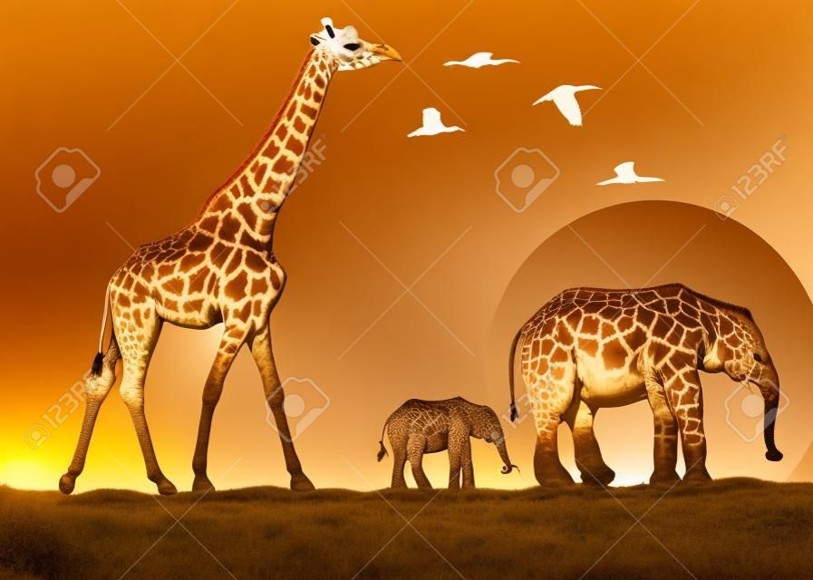 Giraffe und Elefanten in Afrika