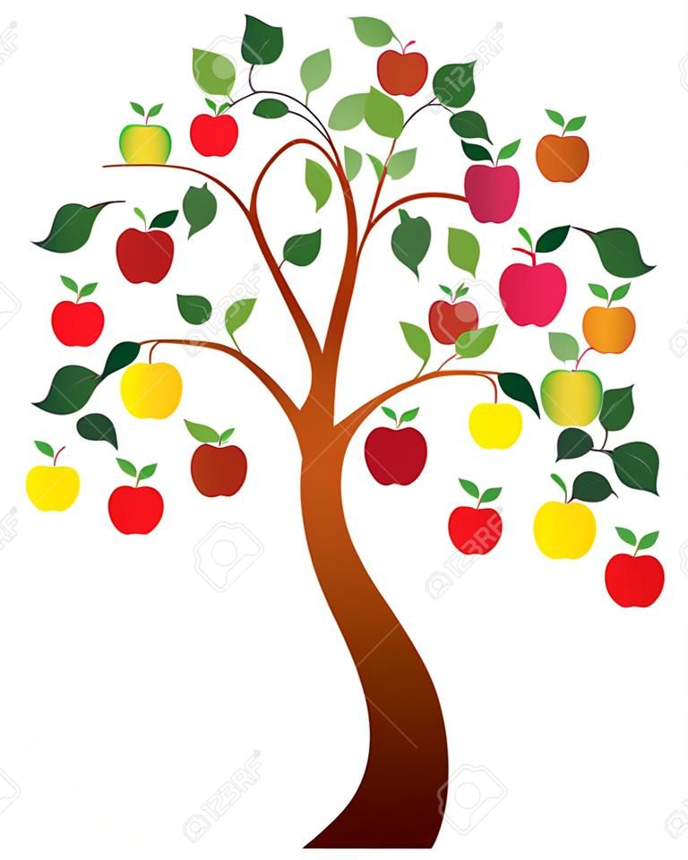 vector apple tree with fruits