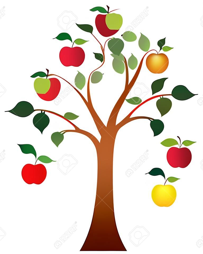 Vektor-Apfelbaum mit Früchten