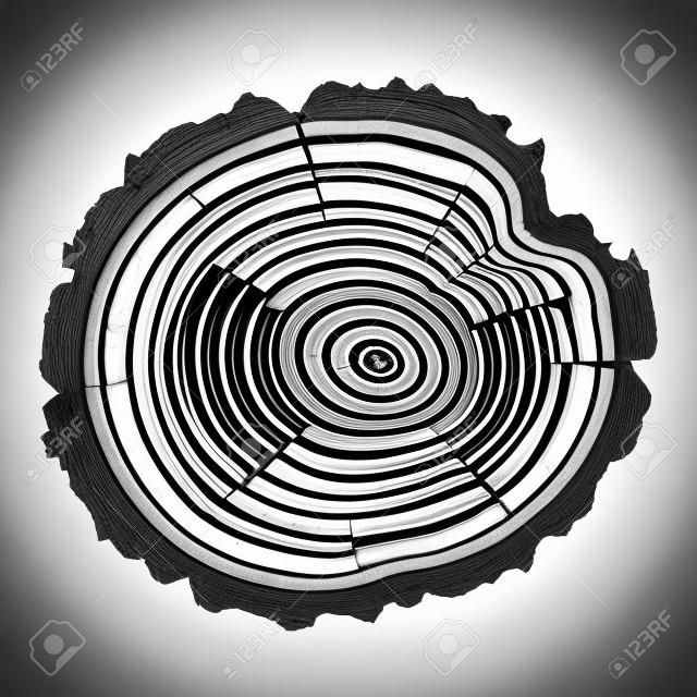 black and white wooden cut of a tree log with concentric rings and bark