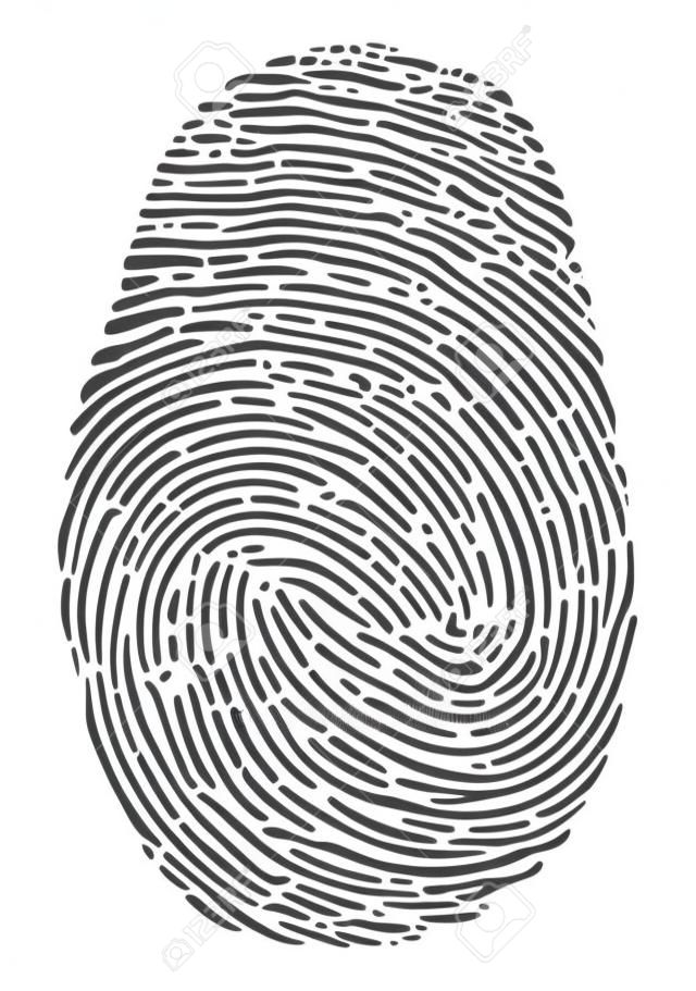 ベクトル指紋アイコン。黒指印刷シンボルは、白い背景で隔離。拇印セキュリティ id、犯罪のアイデンティティの図。人間の親指生体パターン