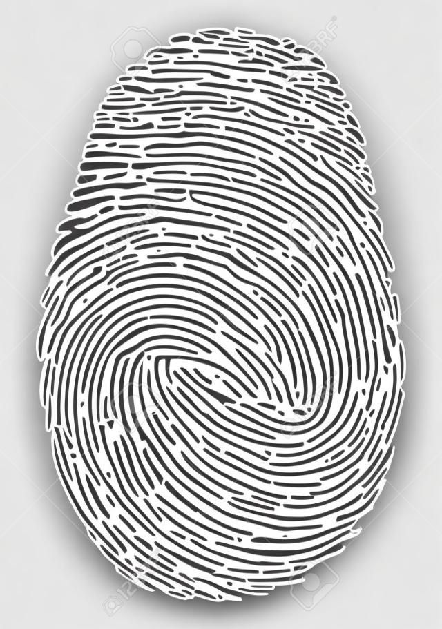 wektor ikona linii papilarnych. czarny symbol odcisku palca na białym tle. Unikalny identyfikator bezpieczeństwa odcisku palca, ilustracja tożsamości przestępstwa. wzór biometryczny kciuka człowieka