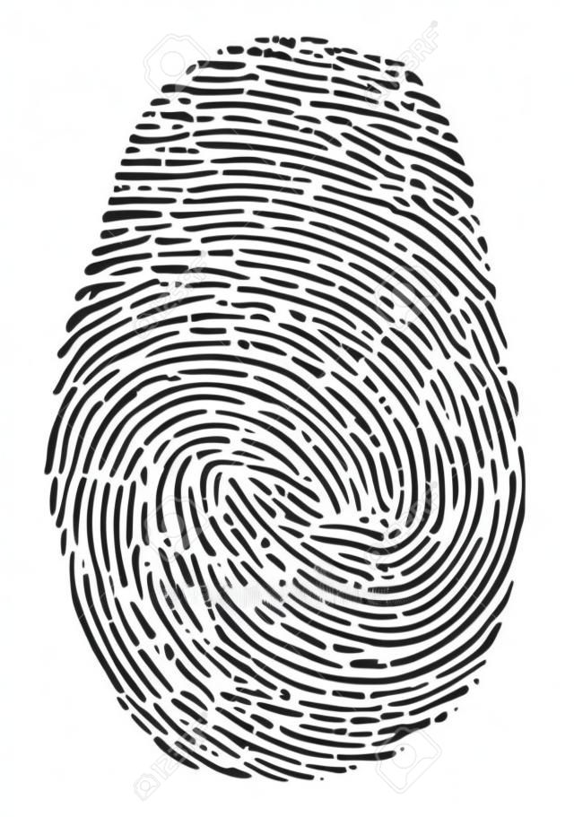 ベクトル指紋アイコン。黒指印刷シンボルは、白い背景で隔離。拇印セキュリティ id、犯罪のアイデンティティの図。人間の親指生体パターン