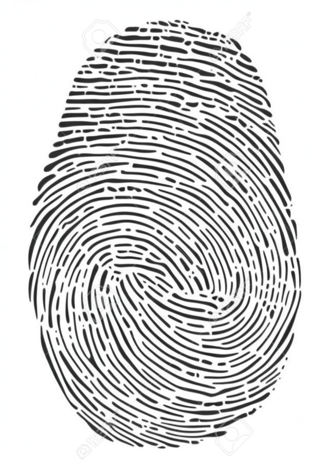矢量指紋圖標。孤立在白色背景上的黑色指紋符號。指紋安全性唯一ID，犯罪身份圖。人類拇指生物特徵模式