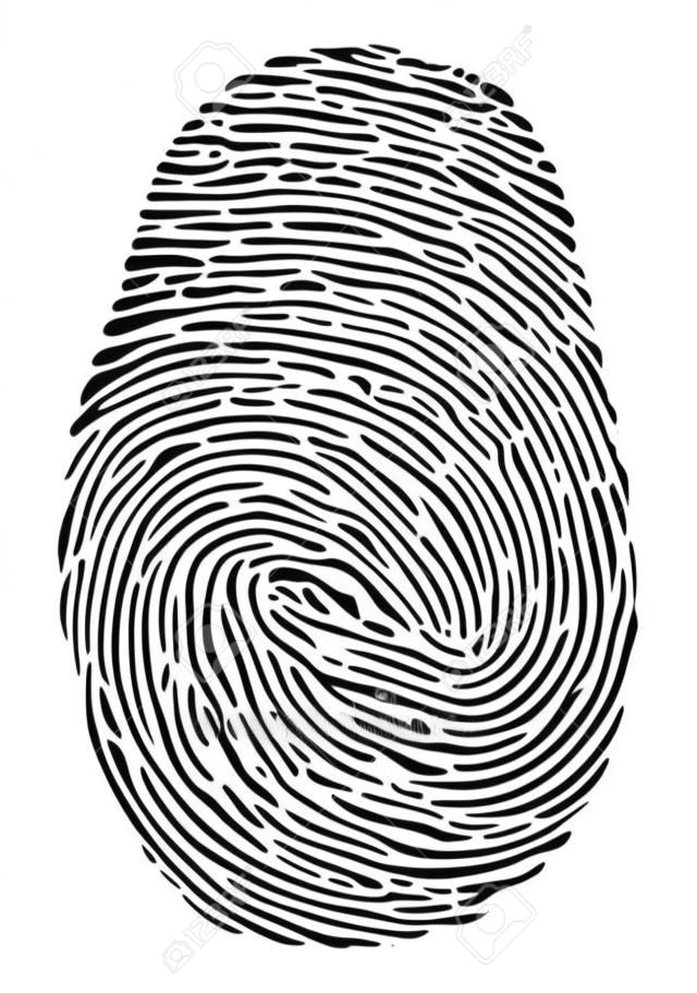 矢量指紋圖標。孤立在白色背景上的黑色指紋符號。指紋安全性唯一ID，犯罪身份圖。人類拇指生物特徵模式