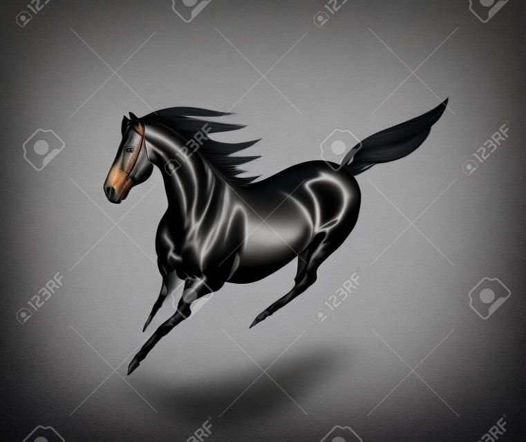hermoso caballo negro