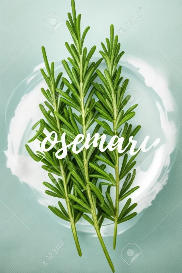 Fresh rosemary herb, natural and delicious food