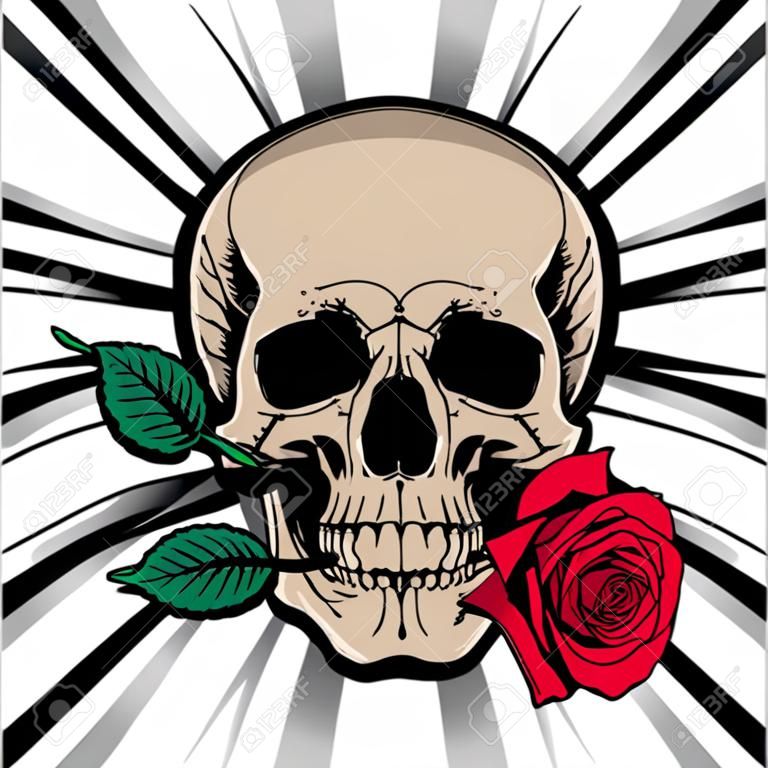 Crâne tenant une rose dans sa bouche sur fond rayé