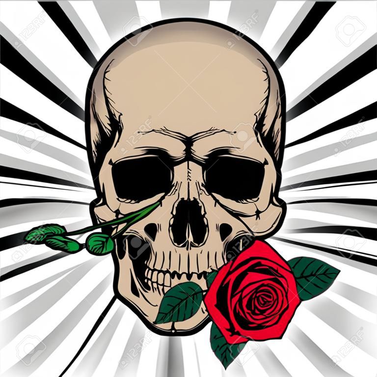 Crâne tenant une rose dans sa bouche sur fond rayé