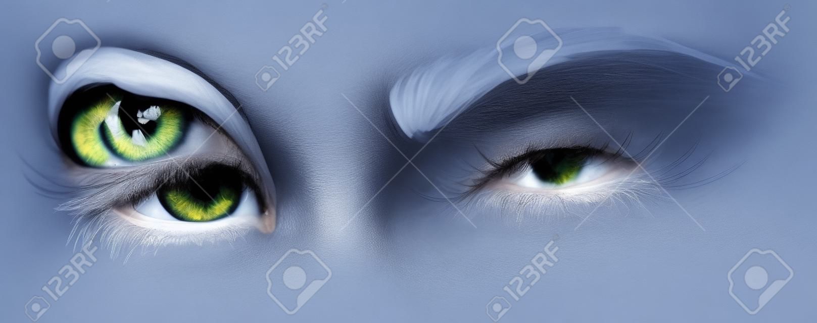 아름다운 여성의 눈