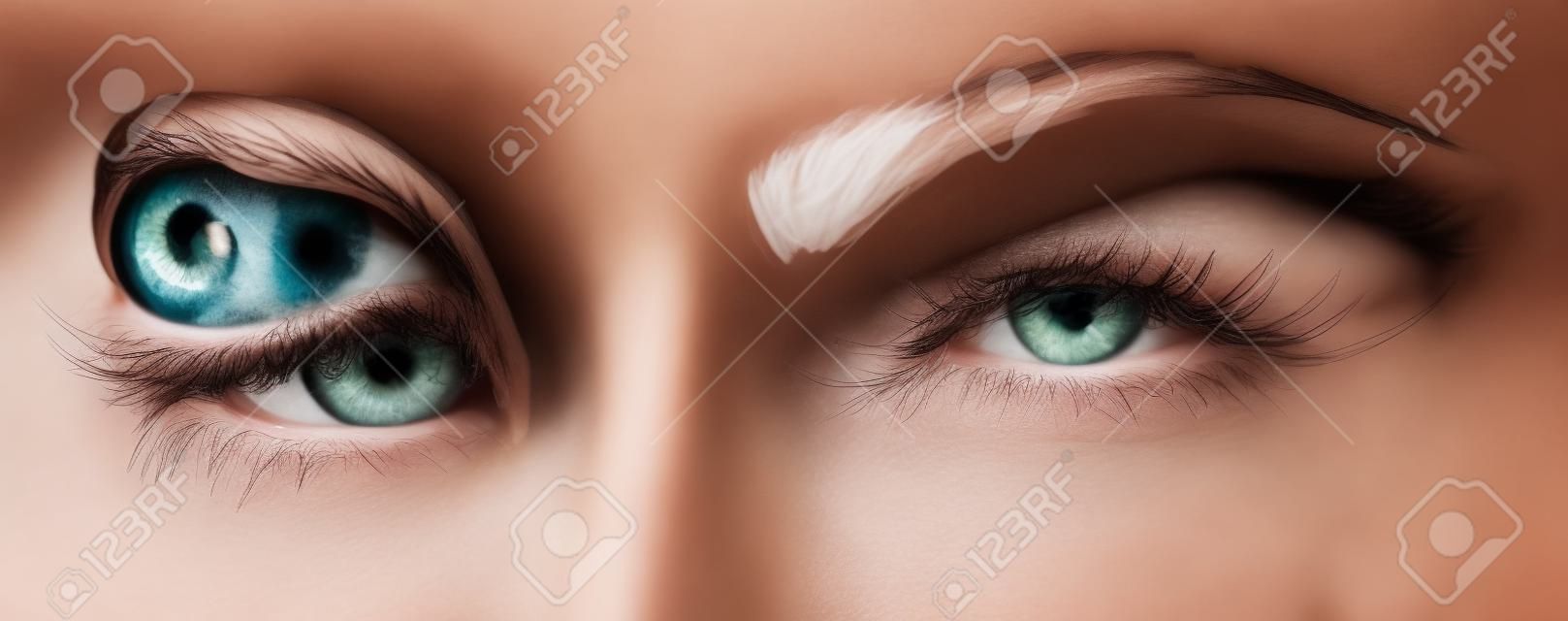 아름다운 여성의 눈