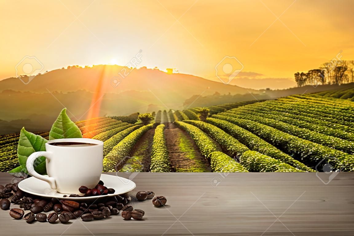 Hete koffiebeker met verse biologische rode koffiebonen en koffie gebraden op de houten tafel en de plantage achtergrond met kopieerruimte voor uw tekst.