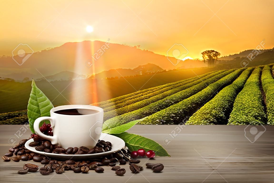 Taza de café caliente con granos de café rojos orgánicos frescos y café tostado en la mesa de madera y el fondo de la plantación con espacio para copiar el texto.