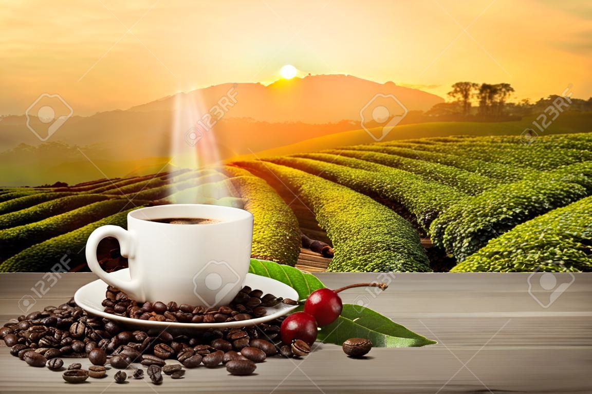 Hot coffee cup with fresh organic red coffee beans and coffee roasts on the wooden table and the plantation background with copy space for your text.