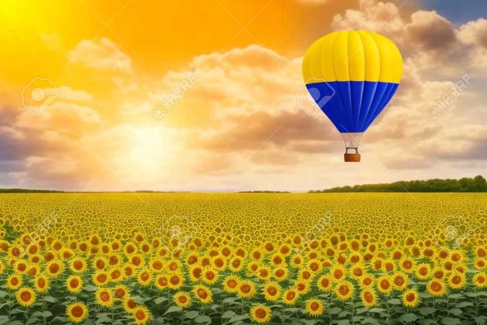 ウクライナの旗を持つ熱気球は、ヒマワリフィールド極端なクローズアップの上を飛びます。3D レンダリング
