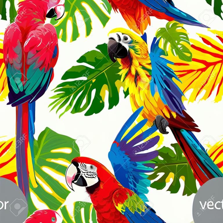 Seamless pattern estate con pappagalli tropicali e foglie monstera. Tessile esotico. Vettore.