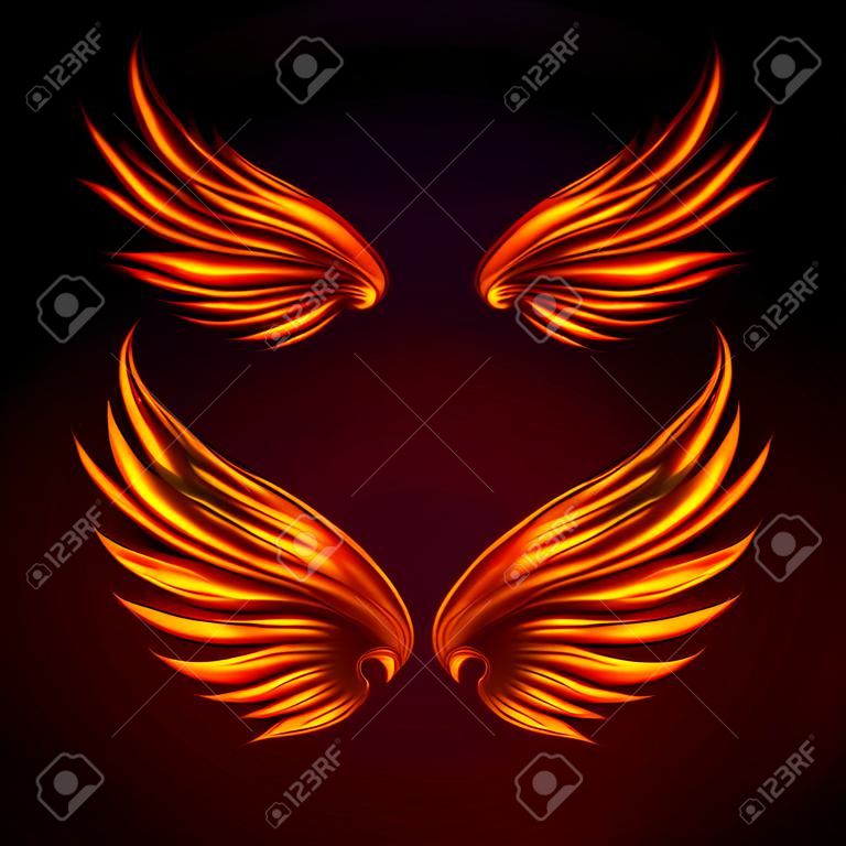 Oiseaux de feu d'oiseau vecteur plume fantastique brûlant mouche lueur mystique fougueux brûler illustration d'art ailes chaudes sur fond noir.