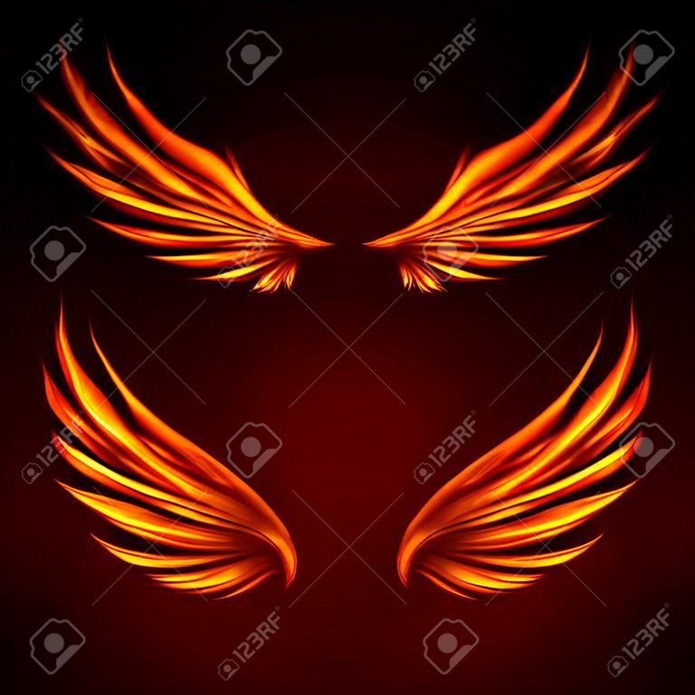 Oiseaux de feu d'oiseau vecteur plume fantastique brûlant mouche lueur mystique fougueux brûler illustration d'art ailes chaudes sur fond noir.