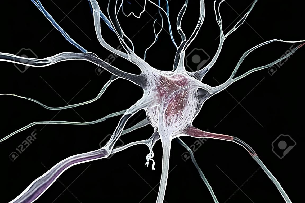 3D ilustracji neuron, komórka mózgu, na kolorowym tle