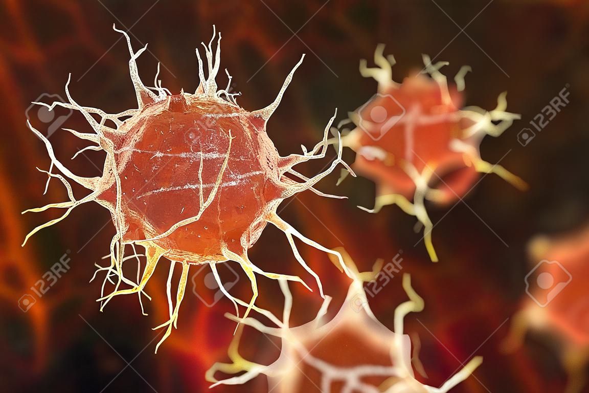 树突状细胞，抗原呈递免疫细胞，3D插图