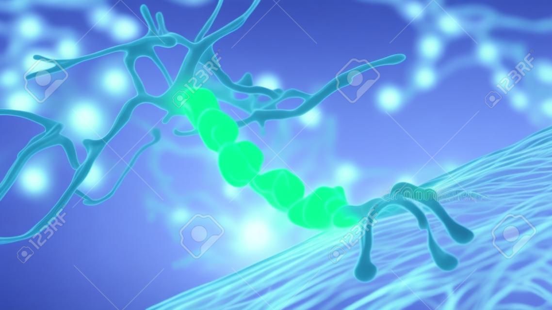 Degradation of motor neurons, conceptual 3D illustration. Motor neuron diseases are a group of neurodegenerative disorders including amyotrophic lateral sclerosis, progressive bulbar palsy and other