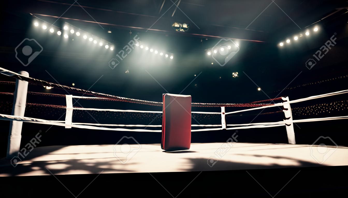 Luci flash professionali per ring da pugilato di nigt boxe sport