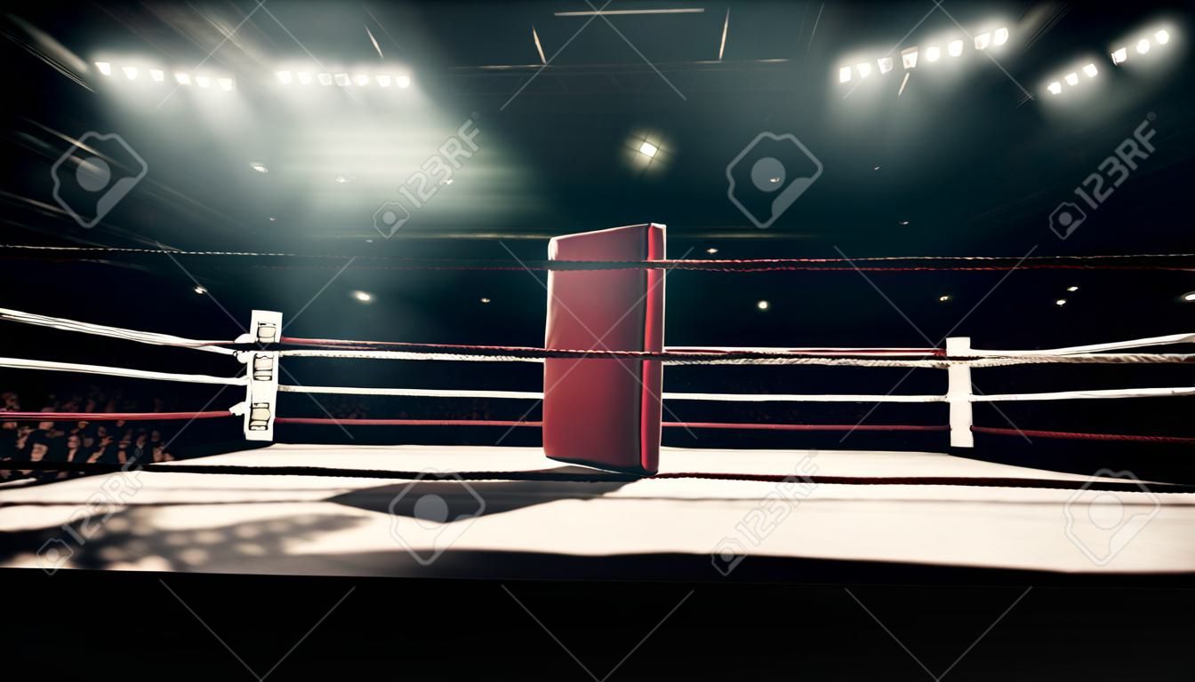 Luci flash professionali per ring da pugilato di nigt boxe sport