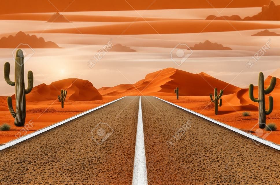 Route dans le désert