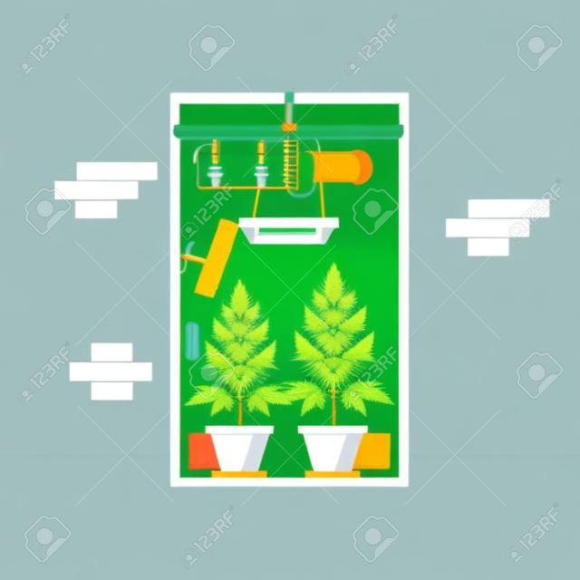 Flat Design, Quality of medical cannabis growing in indoor growbox. Vector illustration