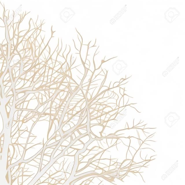 Ramos de uma árvore em um fundo branco, ilustração clip-art