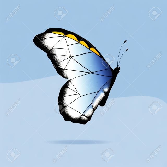 Motyl odizolowywający na biały tło