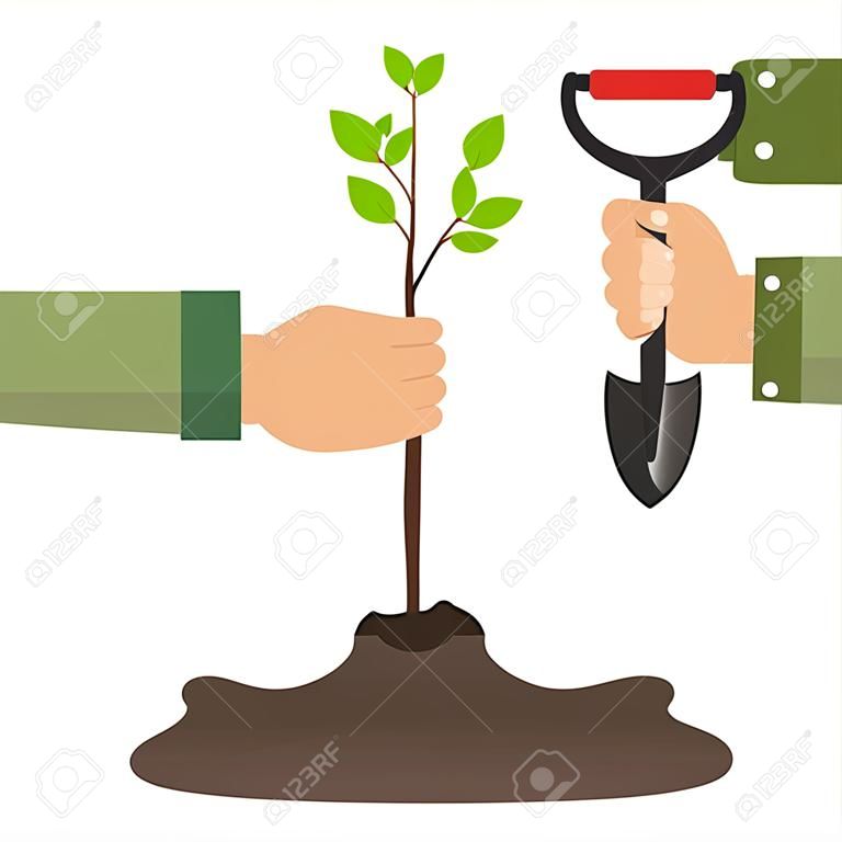 Una mano con una pala planta una planta de semillero. El concepto de plantar un árbol. Una mano sostiene una pala, la otra sostiene una plántula de árbol. Diseño plano, ilustración vectorial, vector.