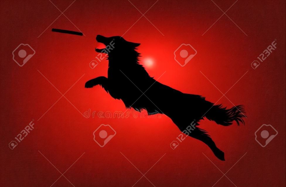 Illustration of Isolated Real Looking Dog Jumping and Catching Disc. Silhouette Vector illustration.