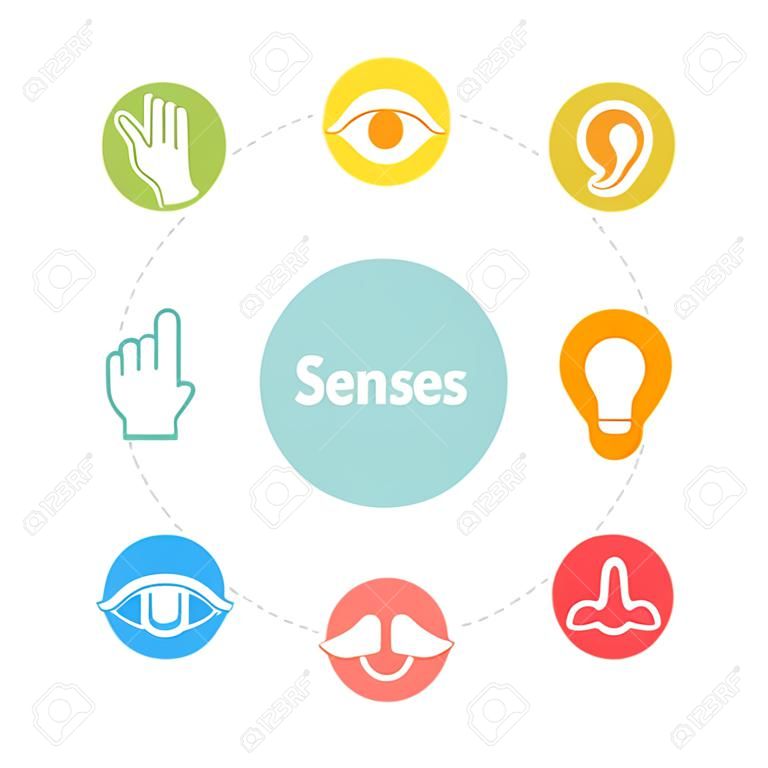 Ícones dos cinco sentidos.