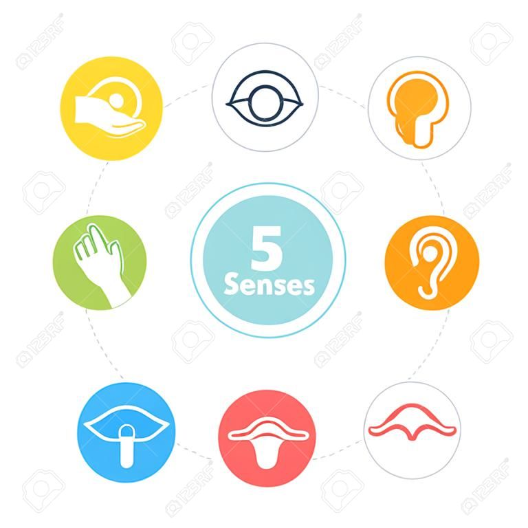 Cinq icônes de sens.
