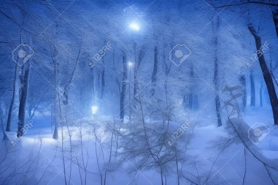Vista notturna di alberi coperti di neve in un parco cittadino. La luce brillante della lanterna. Nevicata. Fiaba della foresta prima del nuovo anno.