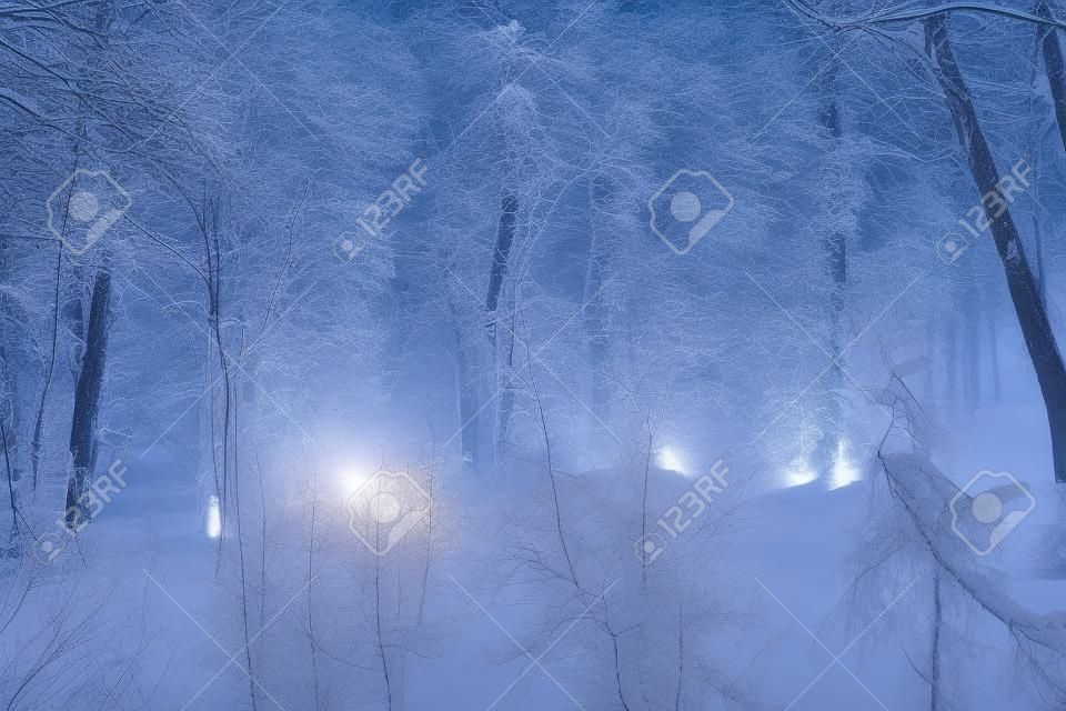 都市公園で雪に覆われた木の夜景。提灯の明るい光。降雪。新年前の森のおとぎ話。