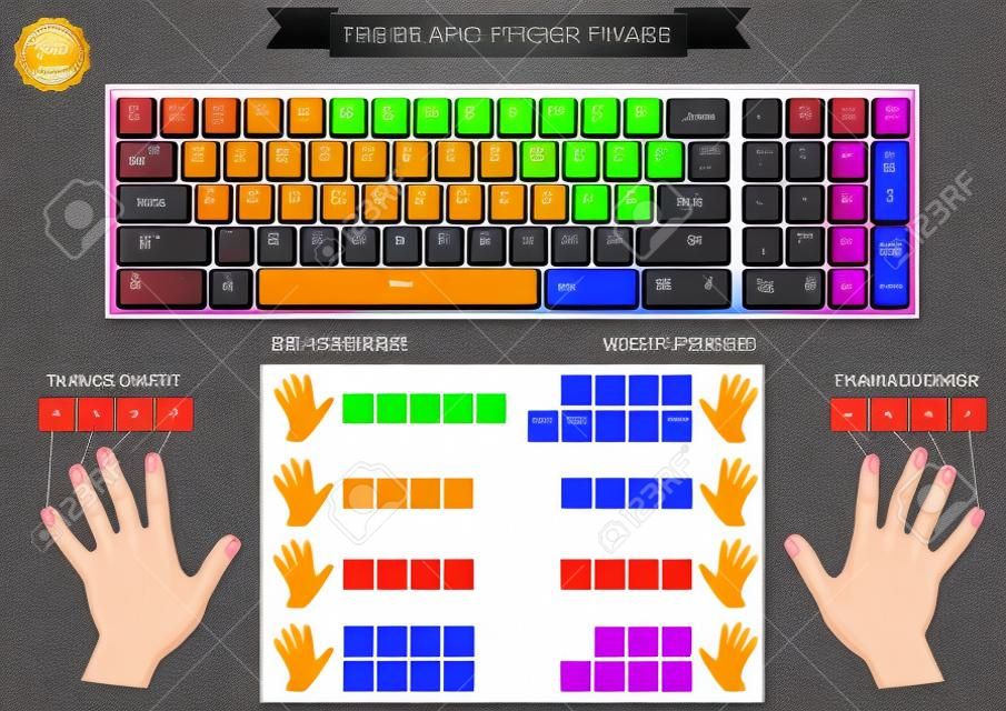 gráfico do dedo do teclado com o dedo esquerdo e direito, incluir teclas de linha home, para lições, para melhorar ou aprender a digitar mais rápido.